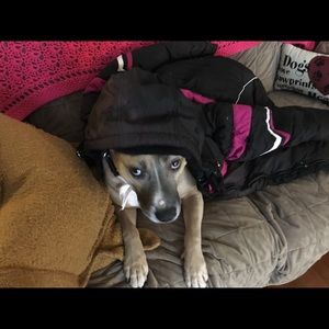 Meet your Posher, Tammy